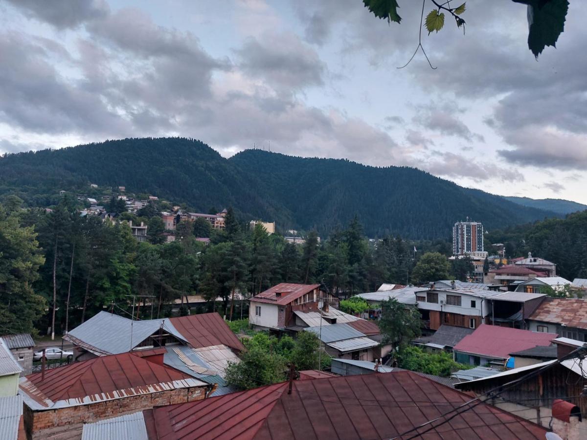 Guesthouse Saba Borjomi Dış mekan fotoğraf