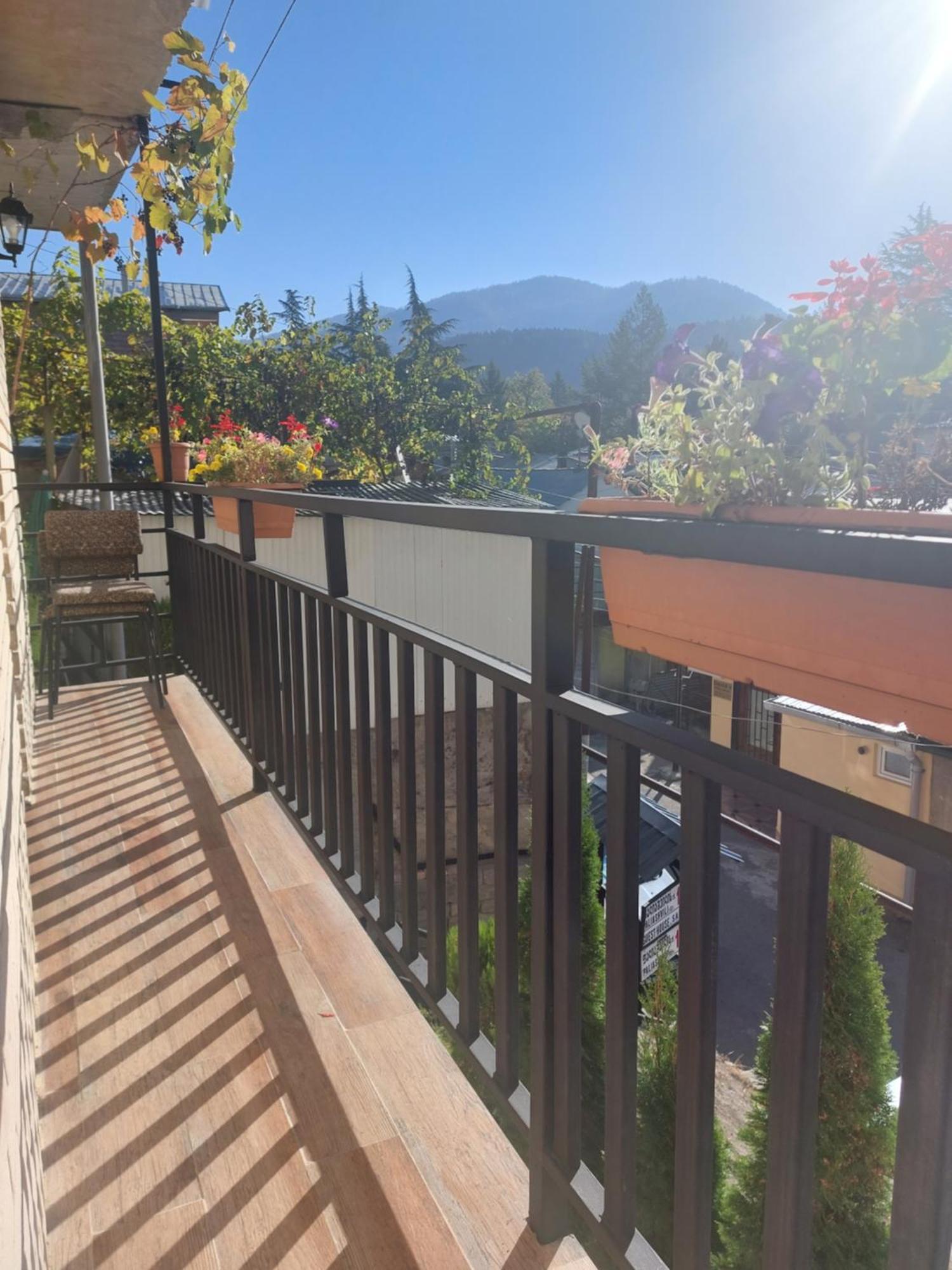 Guesthouse Saba Borjomi Dış mekan fotoğraf