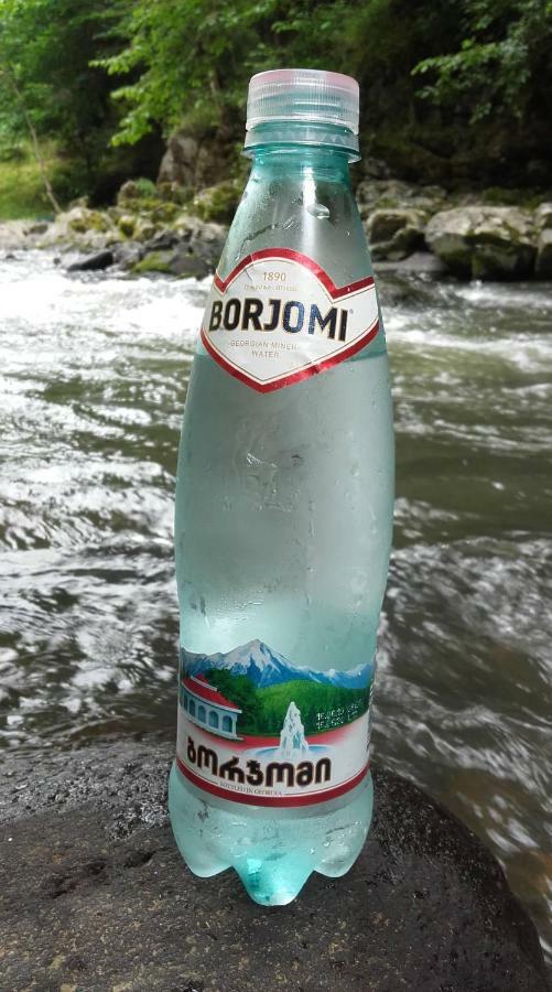 Guesthouse Saba Borjomi Dış mekan fotoğraf